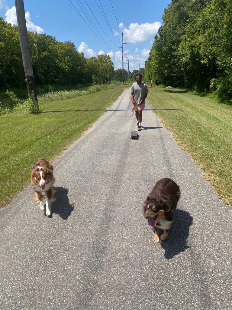 Two dogs run off leash while their owner skateboards. This is the freedom of affordable off leash dog training in Summerville.
