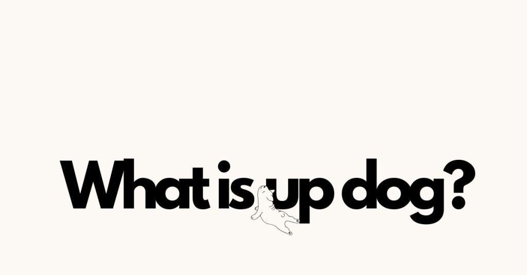 What is up dog? Up dog is a dog trainer in Summerville and Charleston.